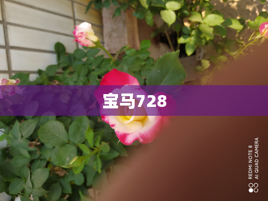 宝马728