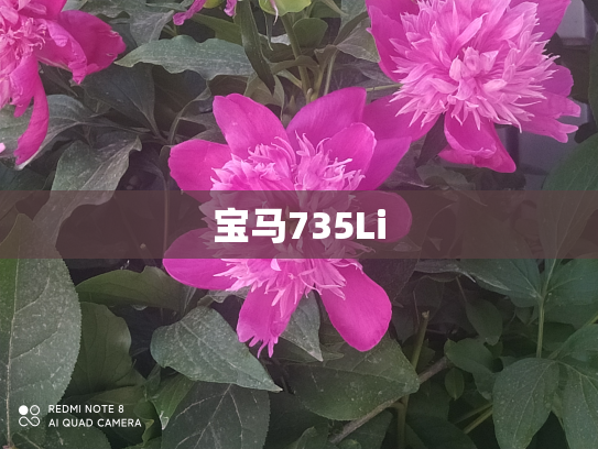 宝马735Li