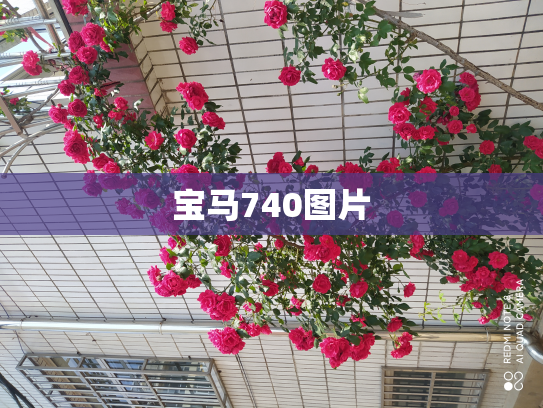 宝马740图片