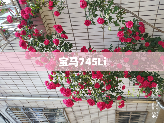 宝马745Li