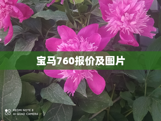 宝马760报价及图片