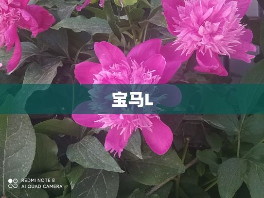 宝马L