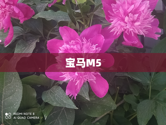 宝马M5