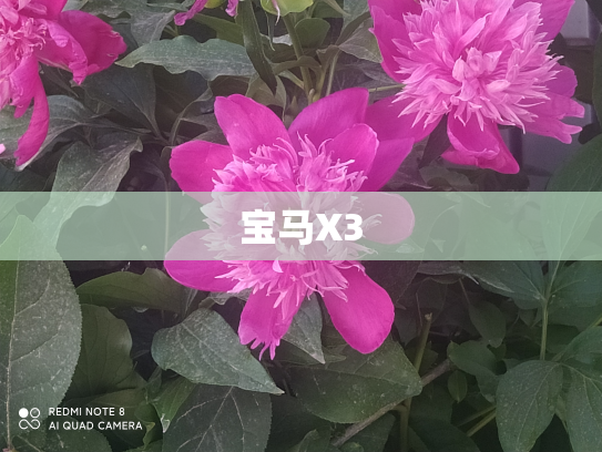 宝马X3