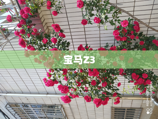 宝马Z3