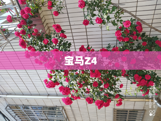 宝马Z4