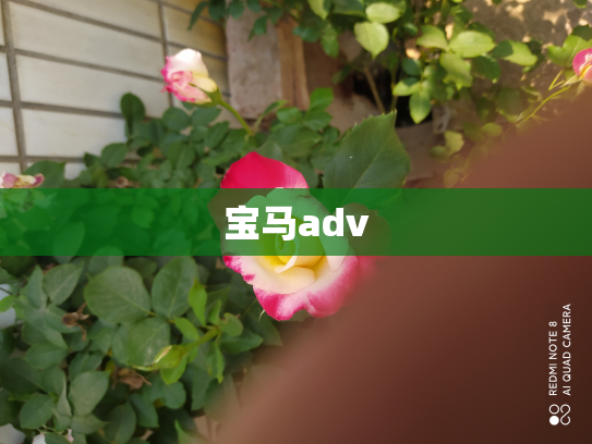 宝马adv