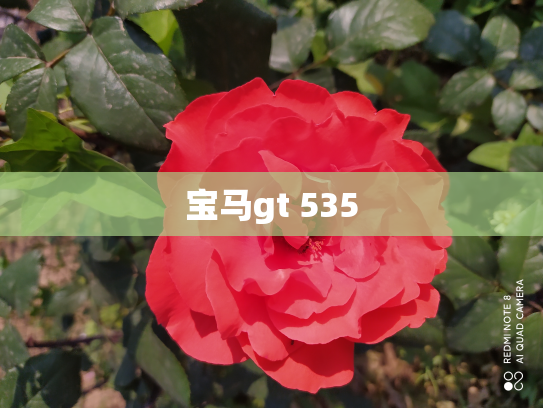 宝马gt 535