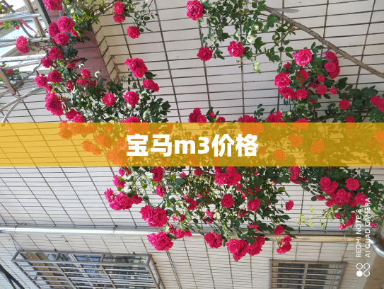 宝马m3价格
