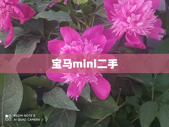 宝马mini二手