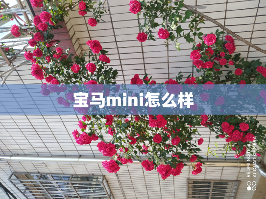 宝马mini怎么样