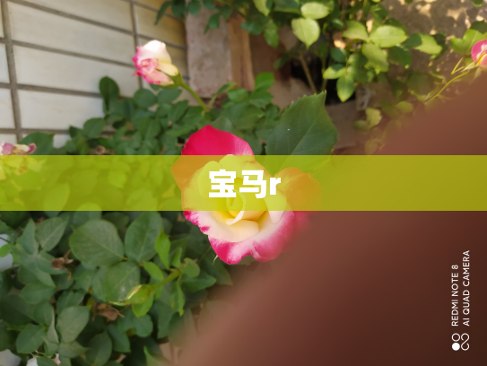 宝马r
