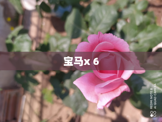 宝马x 6