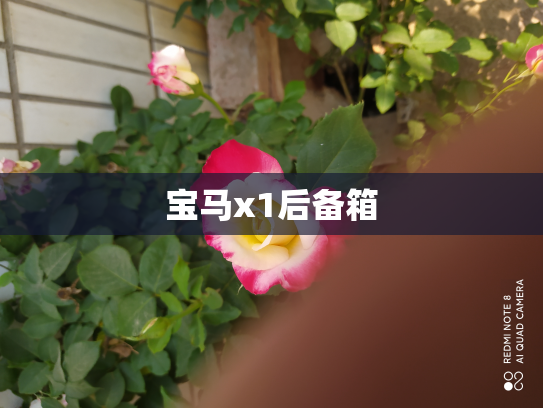 宝马x1后备箱