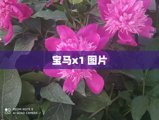 宝马x1 图片
