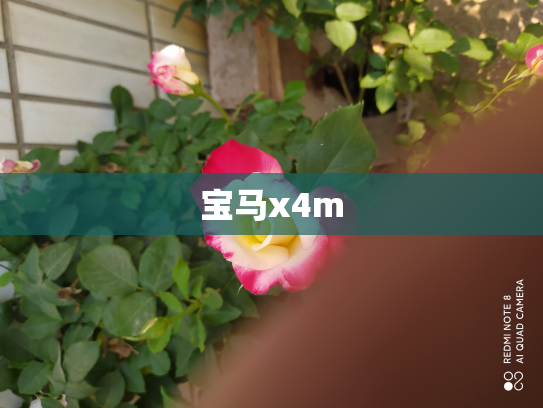 宝马x4m