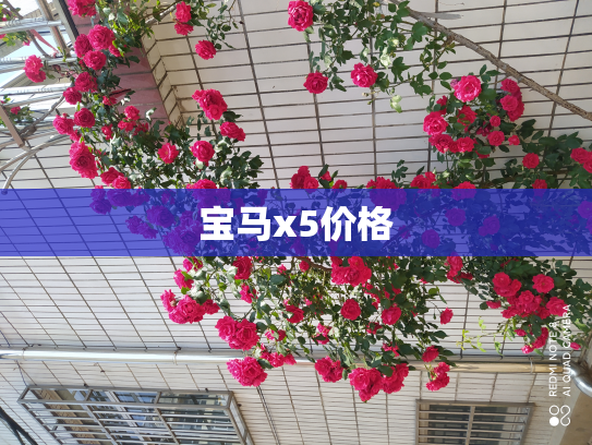 宝马x5价格