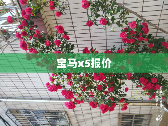 宝马x5报价