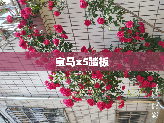 宝马x5踏板