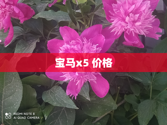 宝马x5 价格