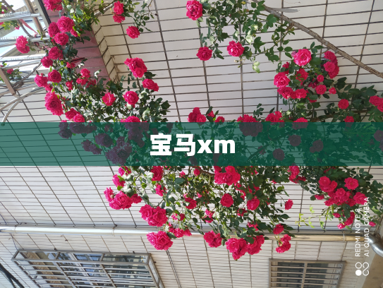 宝马xm