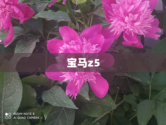 宝马z5