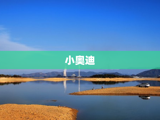 小奥迪