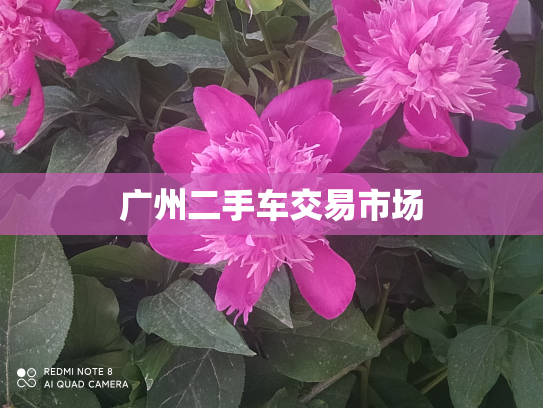 广州二手车交易市场