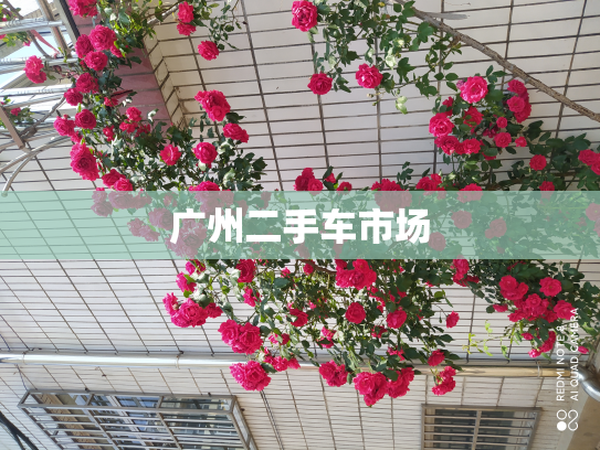 广州二手车市场