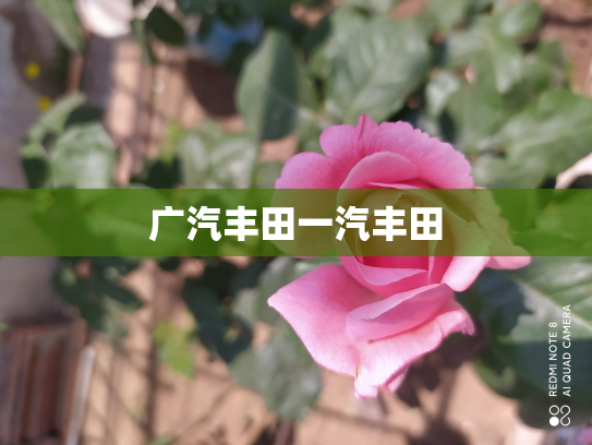 广汽丰田一汽丰田