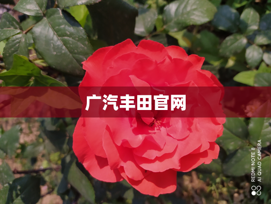 广汽丰田官网