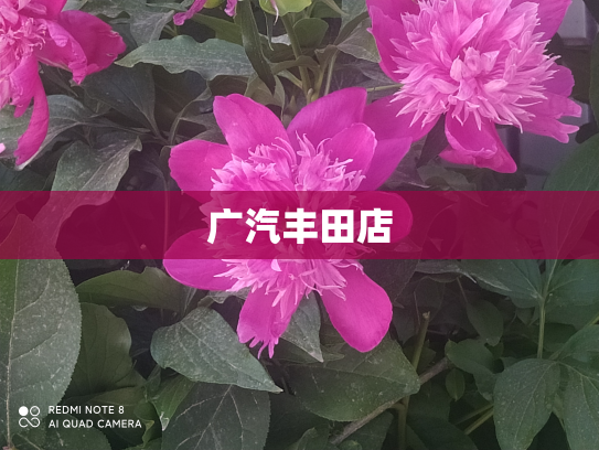 广汽丰田店