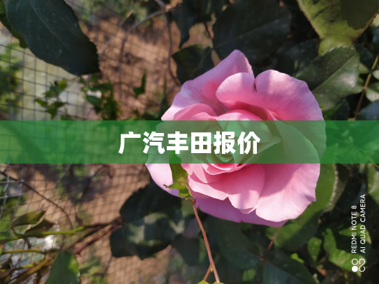 广汽丰田报价