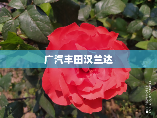 广汽丰田汉兰达