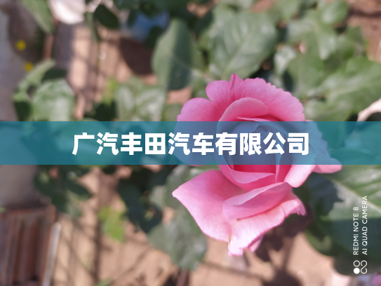 广汽丰田汽车有限公司