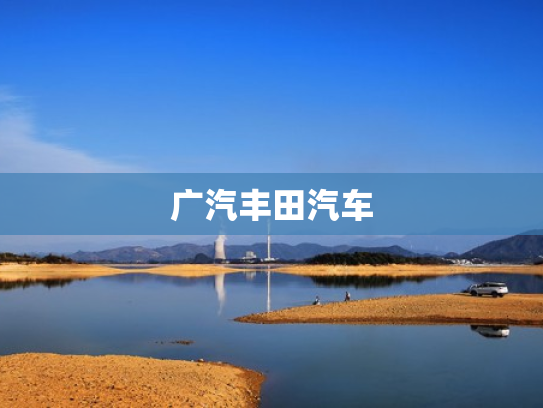 广汽丰田汽车