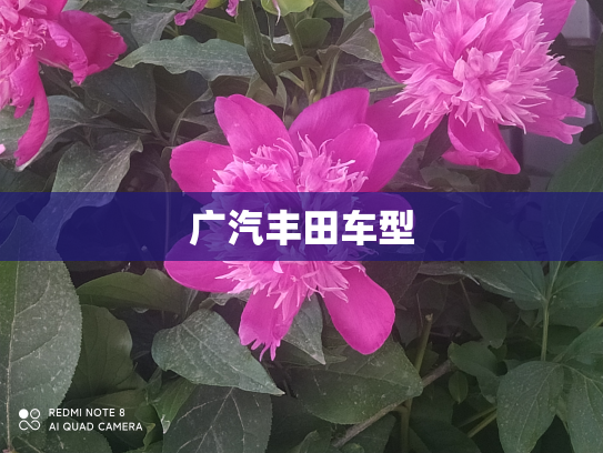 广汽丰田车型