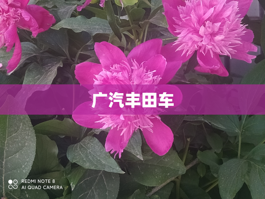 广汽丰田车