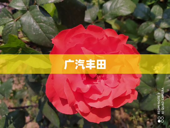 广汽丰田