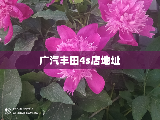 广汽丰田4s店地址