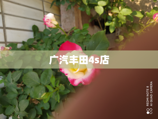 广汽丰田4s店
