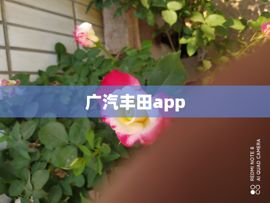 广汽丰田app
