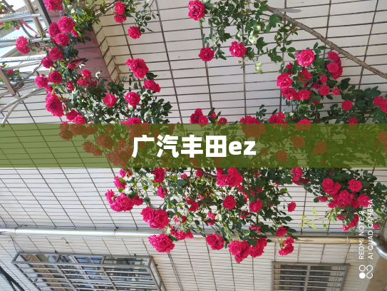 广汽丰田ez