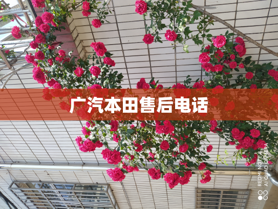 广汽本田售后电话