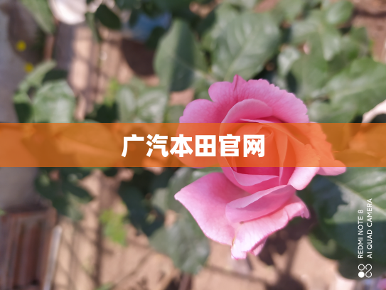 广汽本田官网