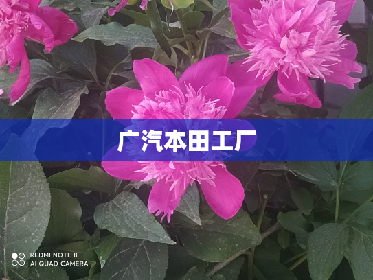 广汽本田工厂