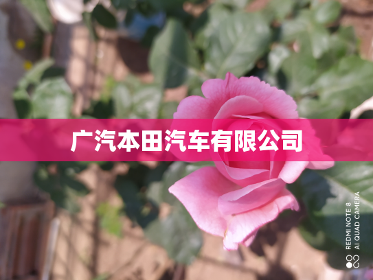 广汽本田汽车有限公司