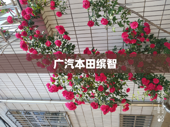广汽本田缤智