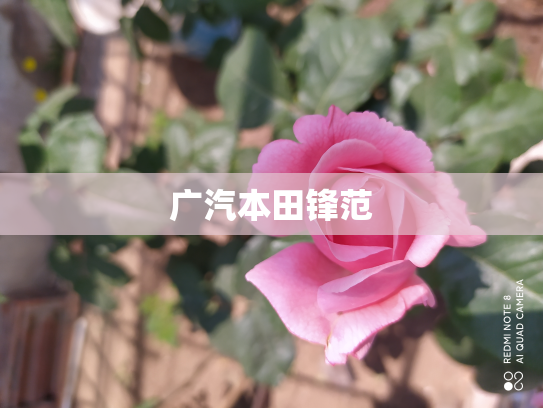 广汽本田锋范