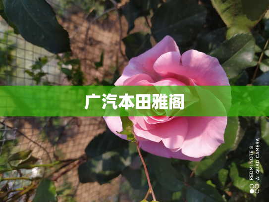 广汽本田雅阁